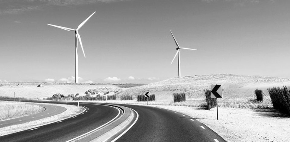 caw-green-environment-g20