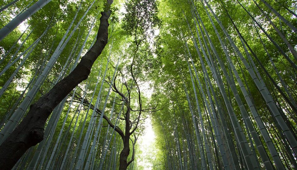 firms not engaged with SDGs 'says PwC