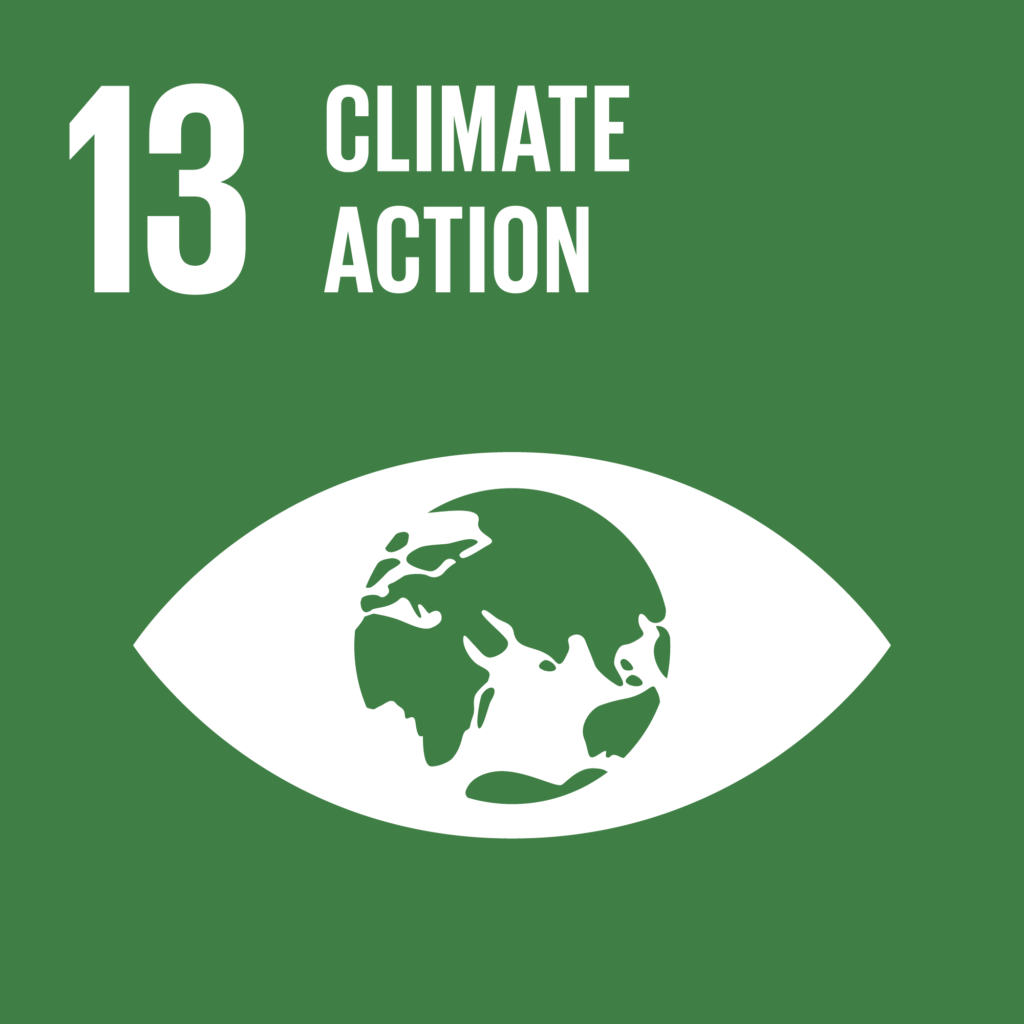 The Global Goals_Icons_Climate Action