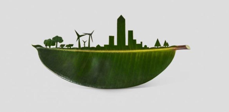 Shining a light on sustainability