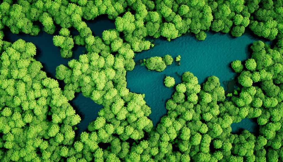 carbon-neutral economy