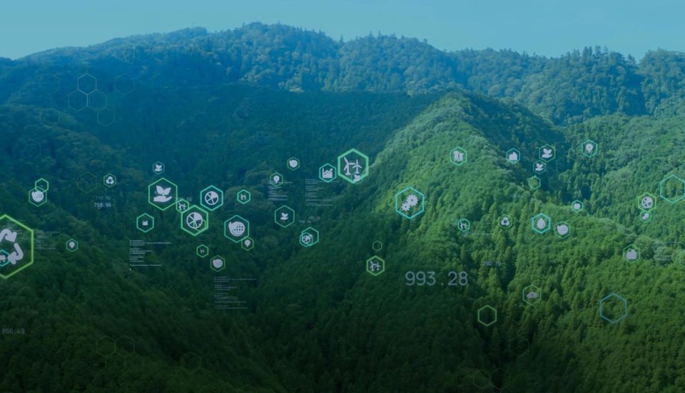 Sustainability and Innovation