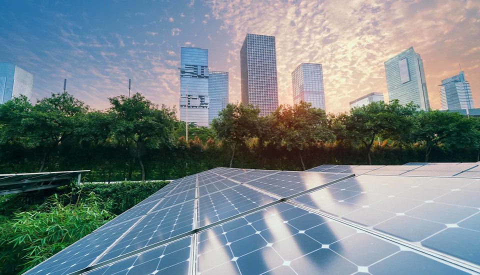 The-climate-crisis-and-the-year-ahead