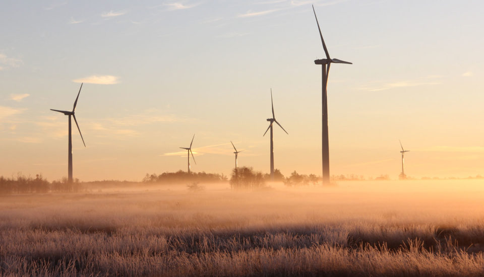 sustainability-reporting