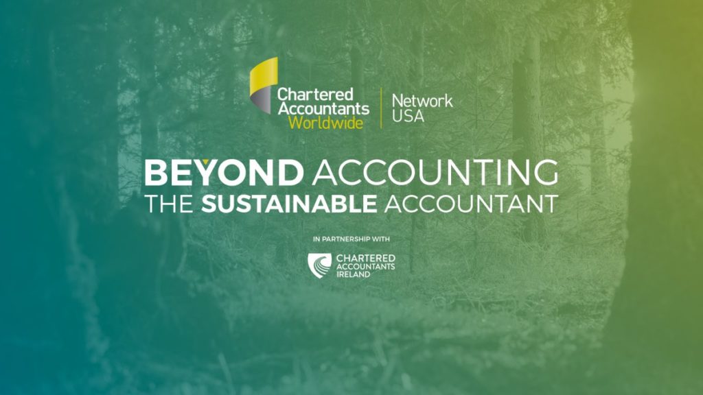 Beyond Accounting – The Sustainable Accountant