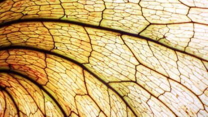 Joint-Submission-to-the-TNFD