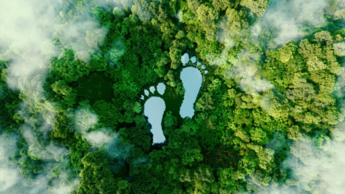 sustainability