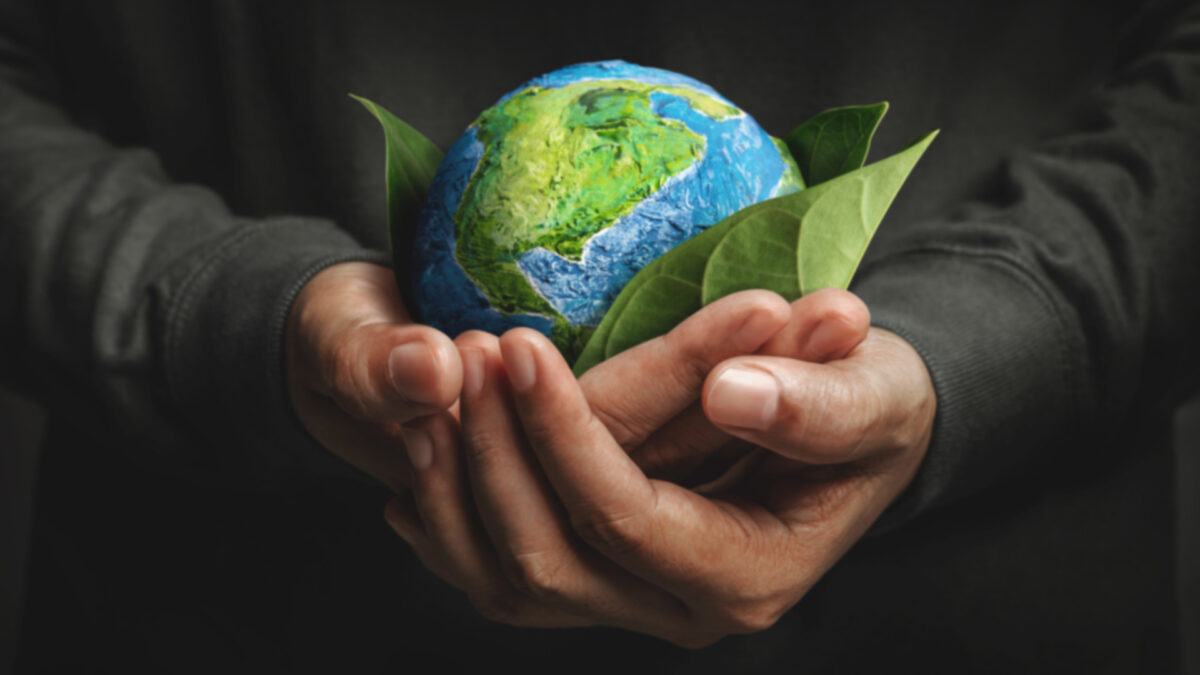 sustainability governance