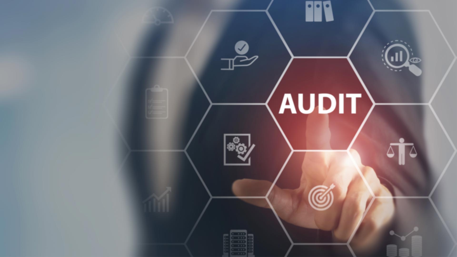 The Future of Audit