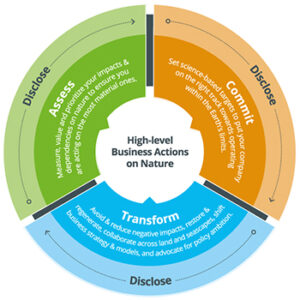Biodiversity Framework