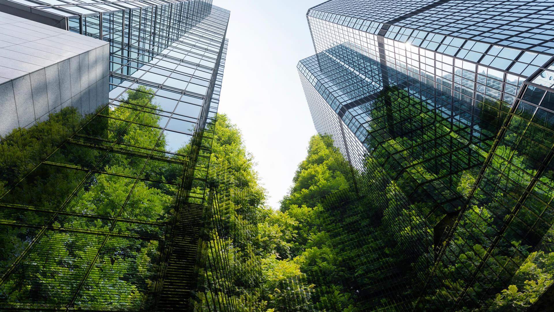 Sustainability in Business