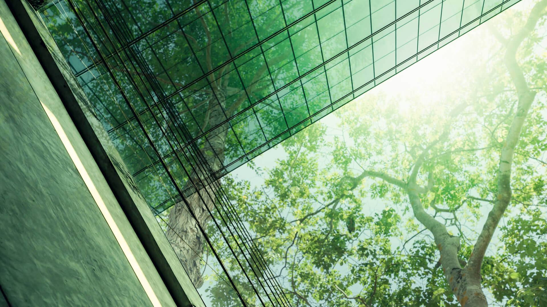 Sustainability Reporting