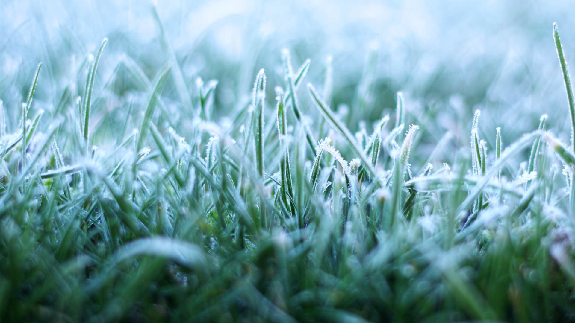 To navigate ongoing disruption, finance teams must adopt flexible organisational models that support rapid decision making and innovation. Agility is key to remaining competitive in a dynamic business environment.