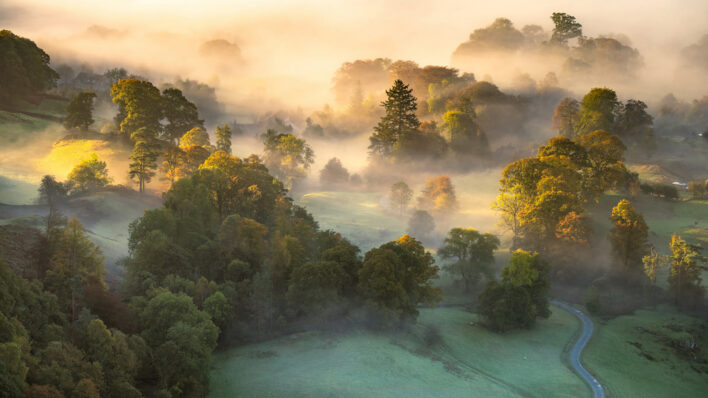 Asking Better Questions on Nature- A Guide for CFOs