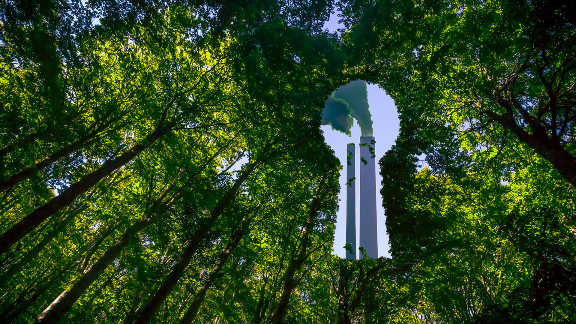 greenwashing