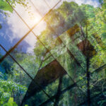 sustainability reporting