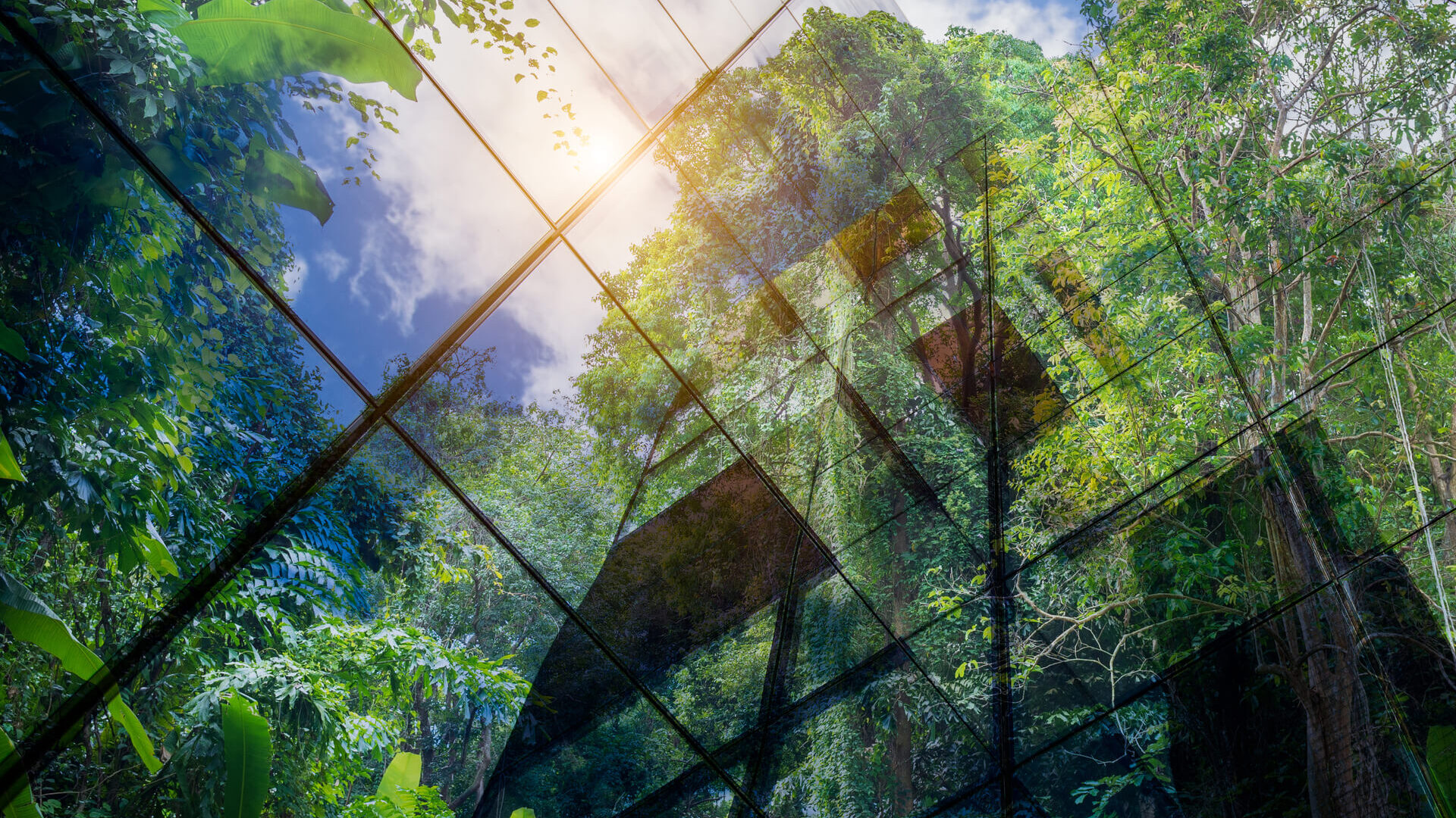 sustainability reporting